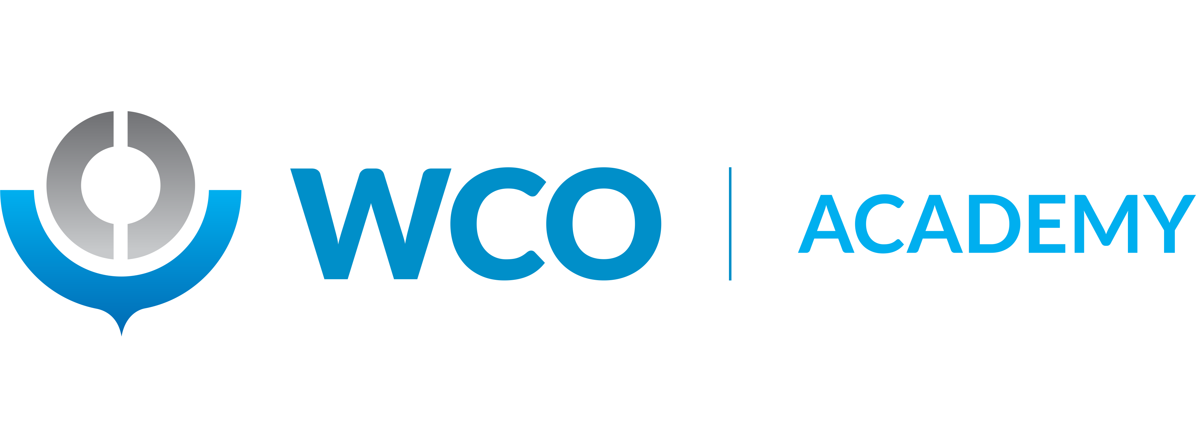 WCO Data Model 1